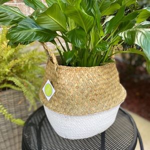 Back in Stock ! Large Natural Seagrass Basket-